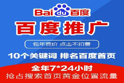 SEM代理助力品牌：案例解析与优化策略